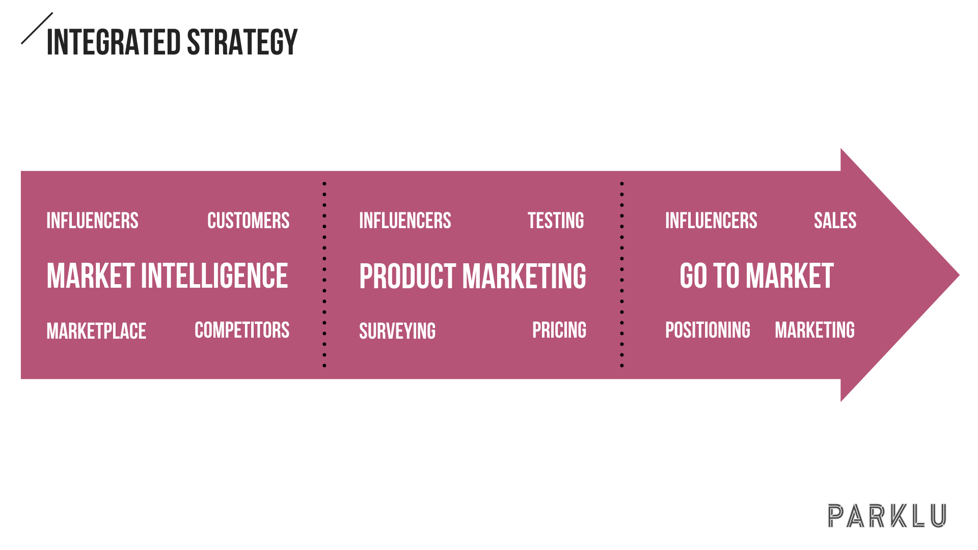 Integrated Influencer Marketing and Product Marketing Strategy