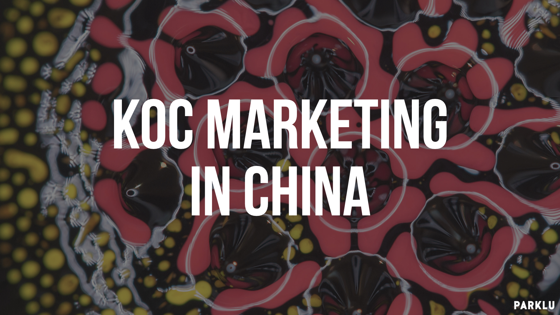 KOC Marketing in China- In-depth Guide