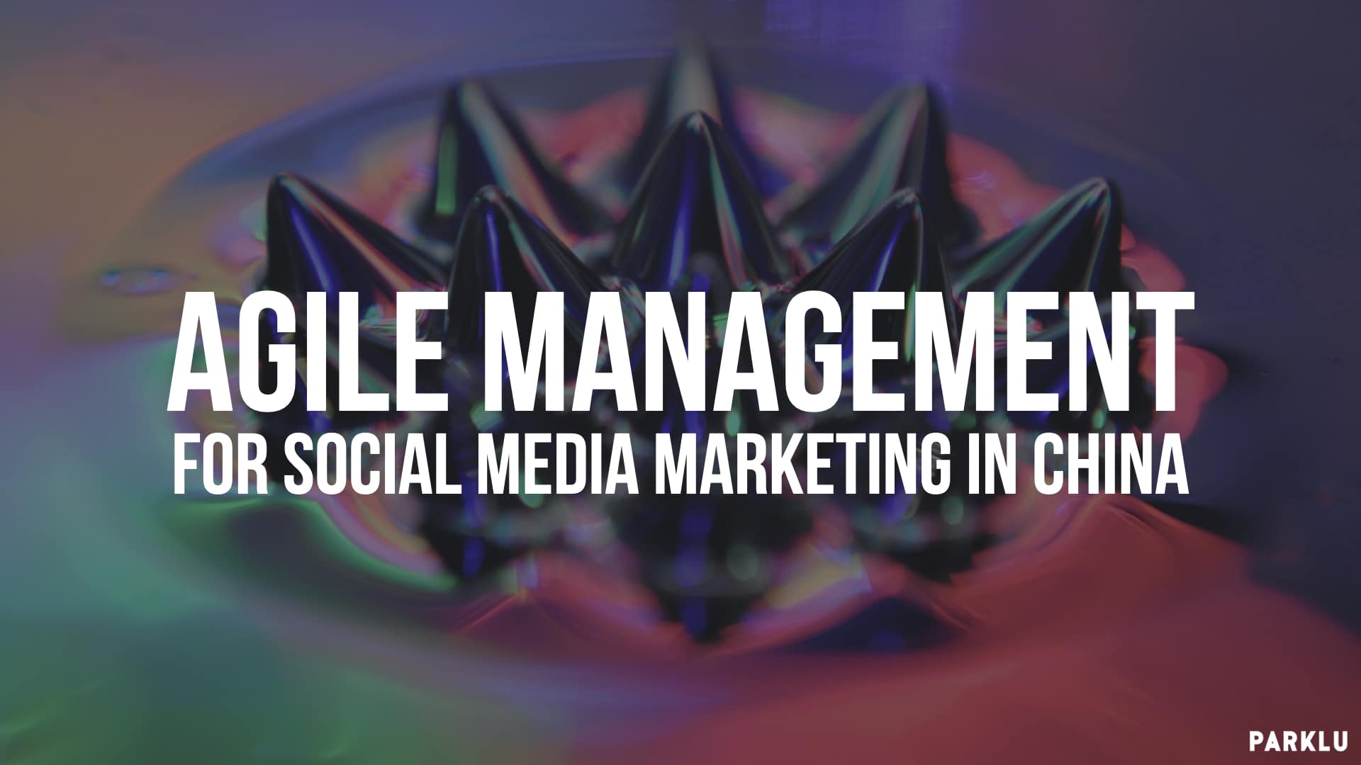 Agile Management- for social media marketing in China